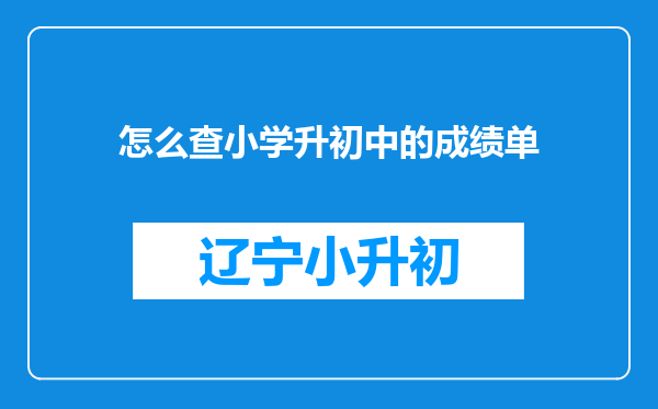 怎么查小学升初中的成绩单