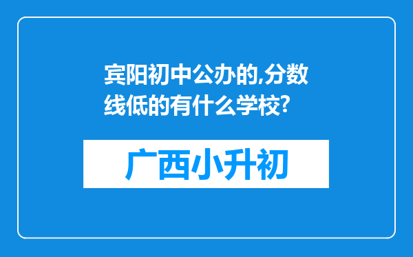 宾阳初中公办的,分数线低的有什么学校?