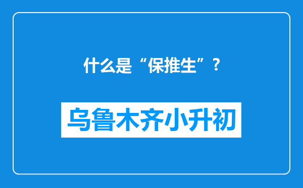 什么是“保推生”?