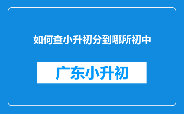 如何查小升初分到哪所初中