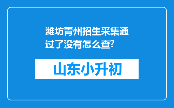 潍坊青州招生采集通过了没有怎么查?