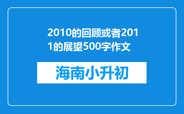 2010的回顾或者2011的展望500字作文