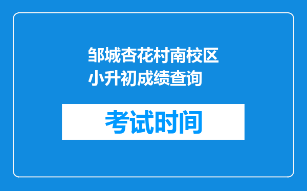 邹城杏花村南校区小升初成绩查询