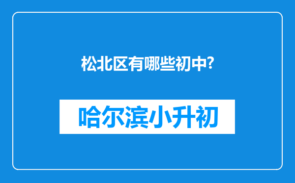 松北区有哪些初中?