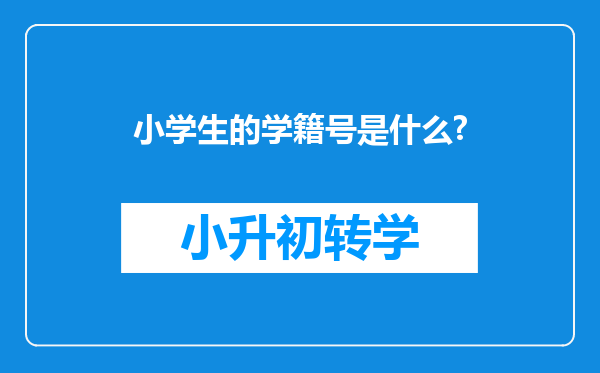 小学生的学籍号是什么?