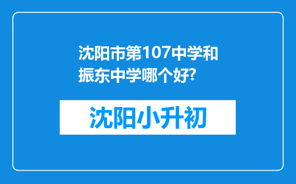 沈阳市第107中学和振东中学哪个好?