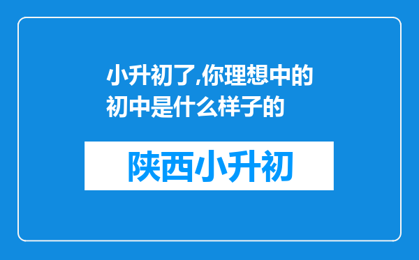 小升初了,你理想中的初中是什么样子的