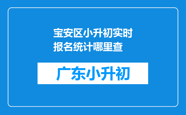 宝安区小升初实时报名统计哪里查