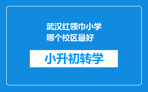 武汉红领巾小学哪个校区最好