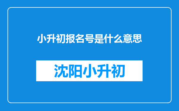 小升初报名号是什么意思