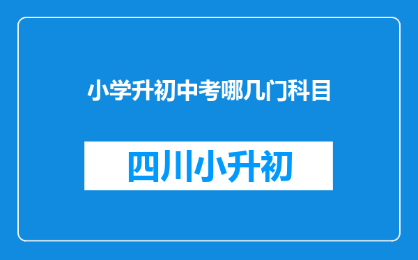 小学升初中考哪几门科目