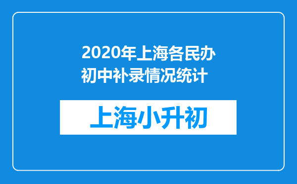 2020年上海各民办初中补录情况统计