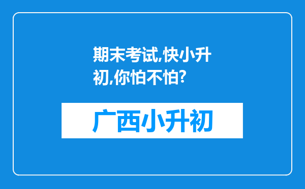 期末考试,快小升初,你怕不怕?