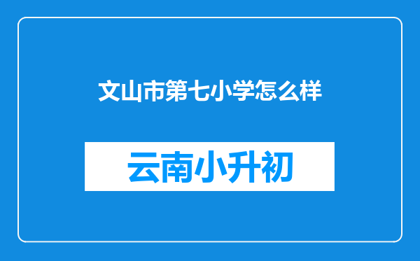 文山市第七小学怎么样