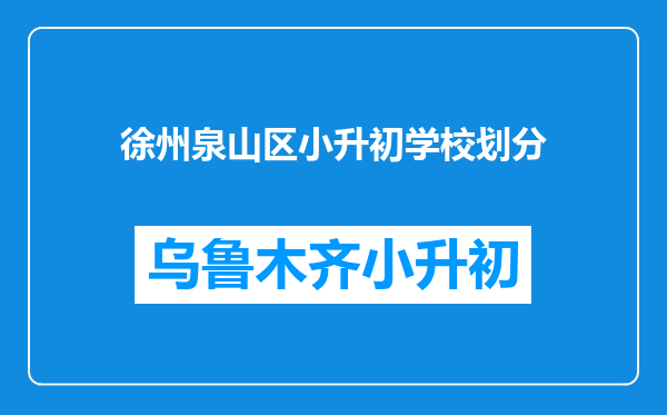 徐州泉山区小升初学校划分