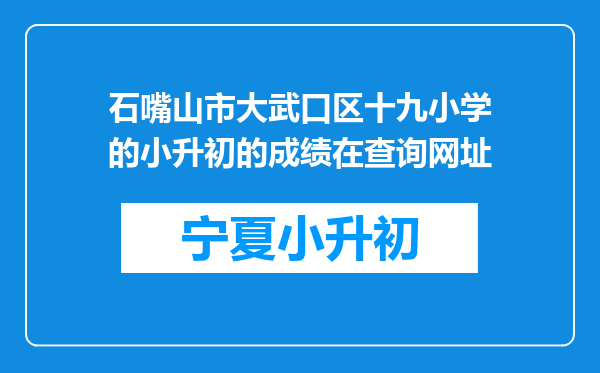 石嘴山市大武口区十九小学的小升初的成绩在查询网址