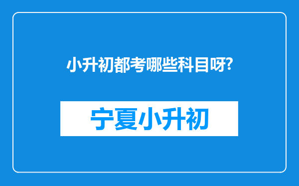 小升初都考哪些科目呀?