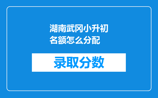 湖南武冈小升初名额怎么分配