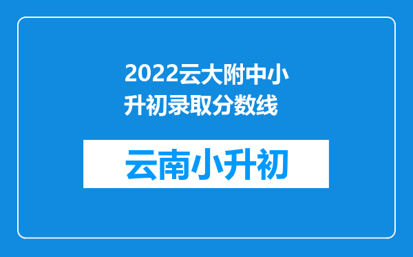 2022云大附中小升初录取分数线