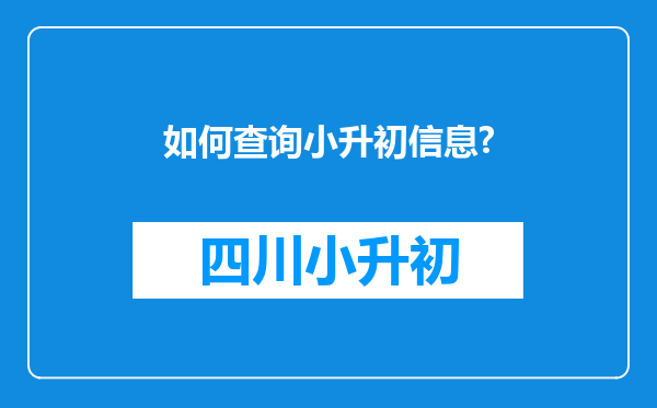 如何查询小升初信息?