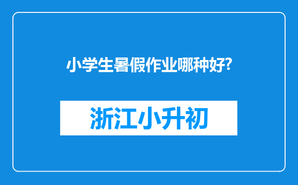 小学生暑假作业哪种好?