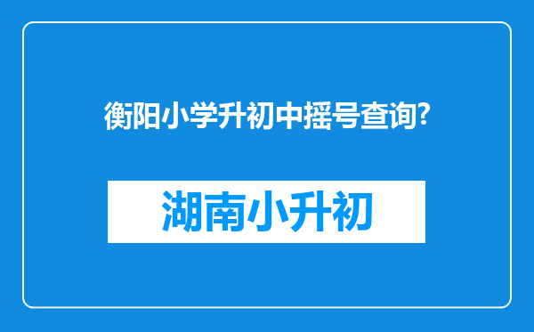 衡阳小学升初中摇号查询?