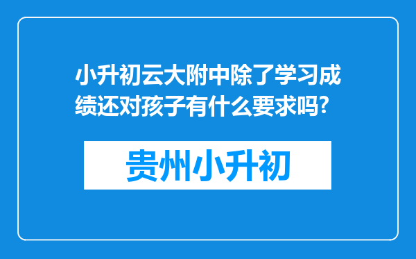 小升初云大附中除了学习成绩还对孩子有什么要求吗?