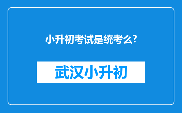 小升初考试是统考么?