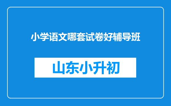 小学语文哪套试卷好辅导班