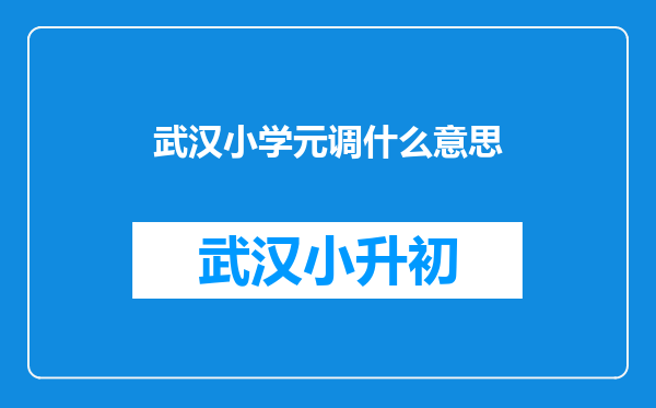 武汉小学元调什么意思