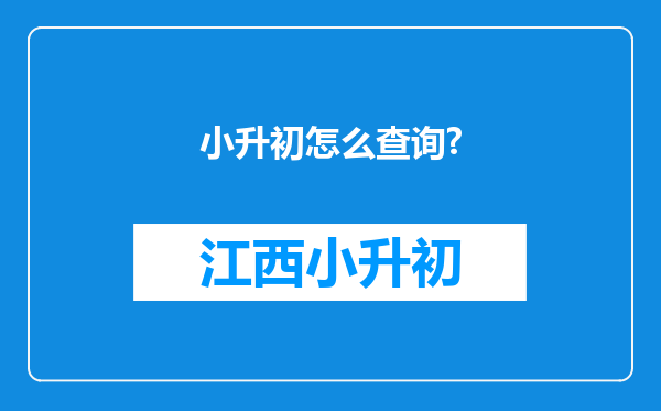 小升初怎么查询?