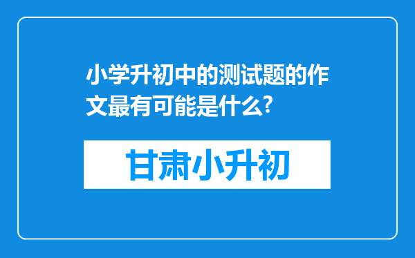 小学升初中的测试题的作文最有可能是什么?