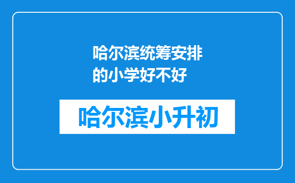 哈尔滨统筹安排的小学好不好