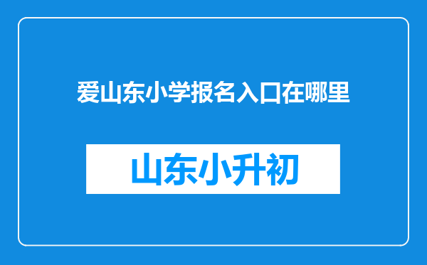 爱山东小学报名入口在哪里