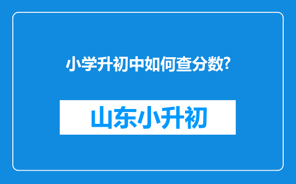 小学升初中如何查分数?