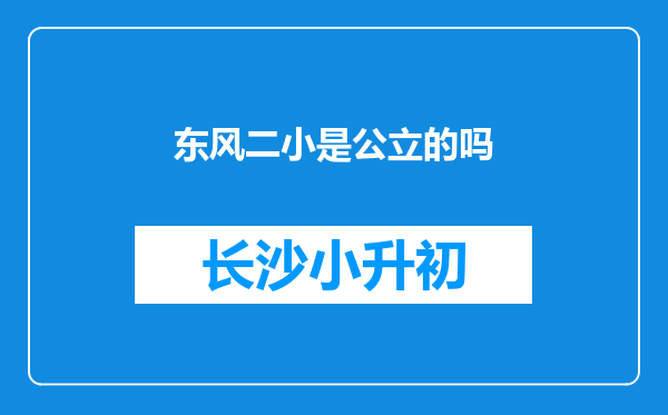 东风二小是公立的吗