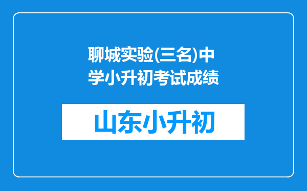 聊城实验(三名)中学小升初考试成绩