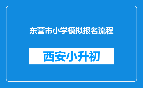 东营市小学模拟报名流程