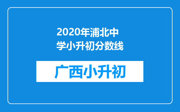 2020年浦北中学小升初分数线