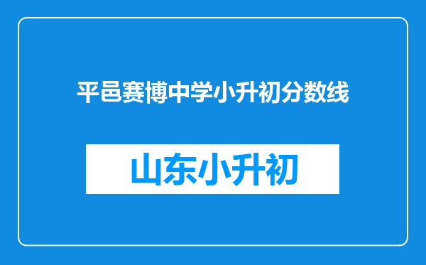 平邑赛博中学小升初分数线