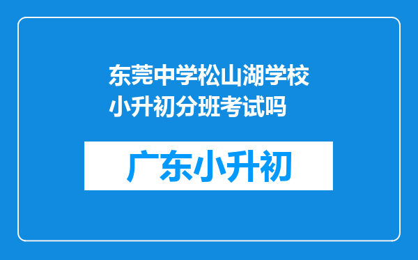 东莞中学松山湖学校小升初分班考试吗