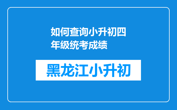 如何查询小升初四年级统考成绩