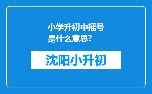 小学升初中摇号是什么意思?