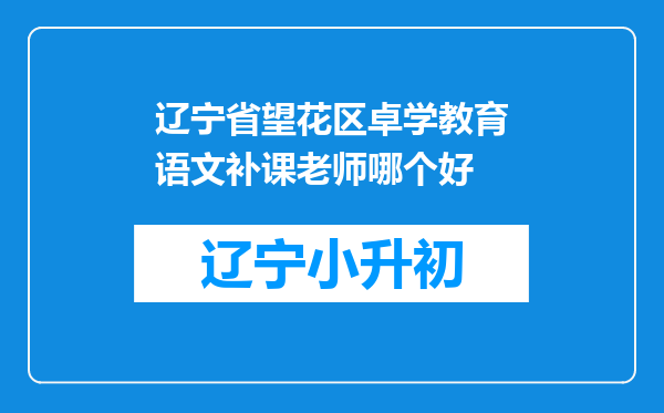 辽宁省望花区卓学教育语文补课老师哪个好