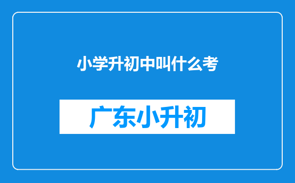 小学升初中叫什么考