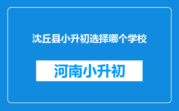 沈丘县小升初选择哪个学校