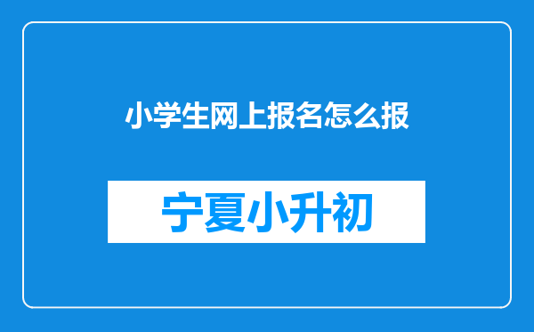 小学生网上报名怎么报