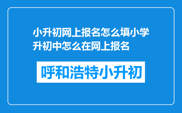 小升初网上报名怎么填小学升初中怎么在网上报名