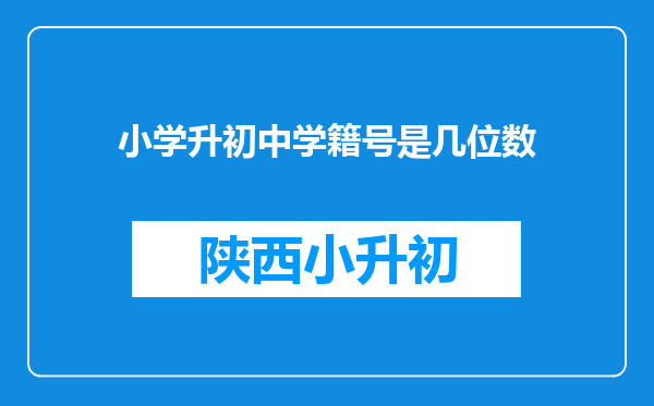 小学升初中学籍号是几位数