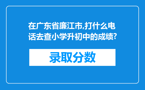 在广东省廉江市,打什么电话去查小学升初中的成绩?